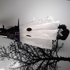 Ghost Dancing Talking Witch Hat Halloween Decoration Fun Lights Hanging